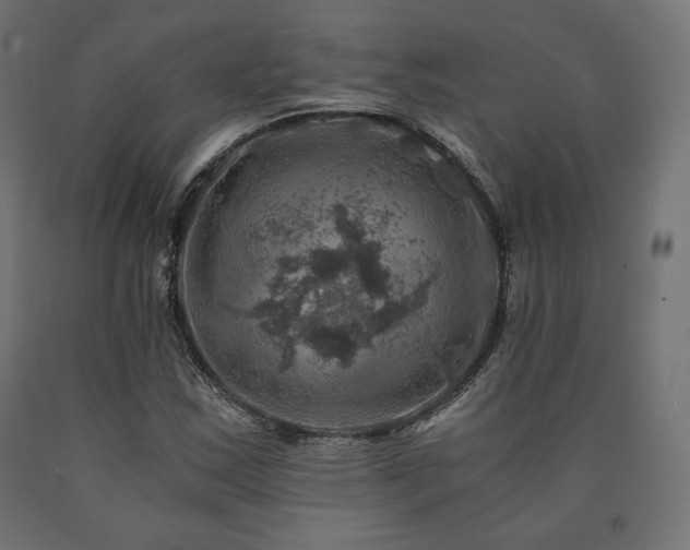 X0000091011163200708021542