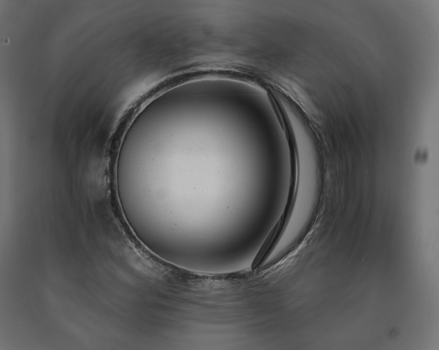 X0000091011164200708021542