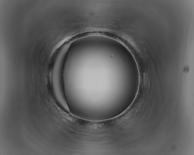 X0000091011165200708021542