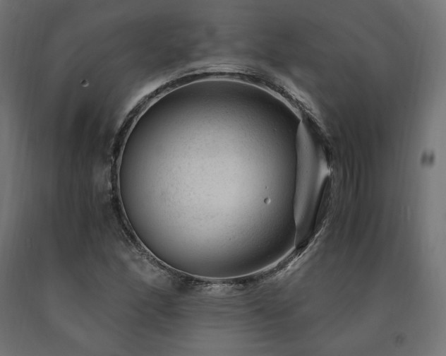 X0000091011166200708021542