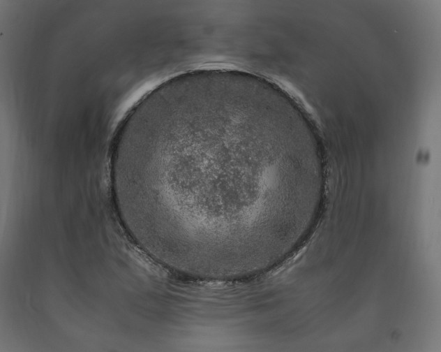 X0000091011167200708021542