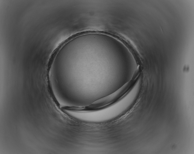 X0000091011168200708021542