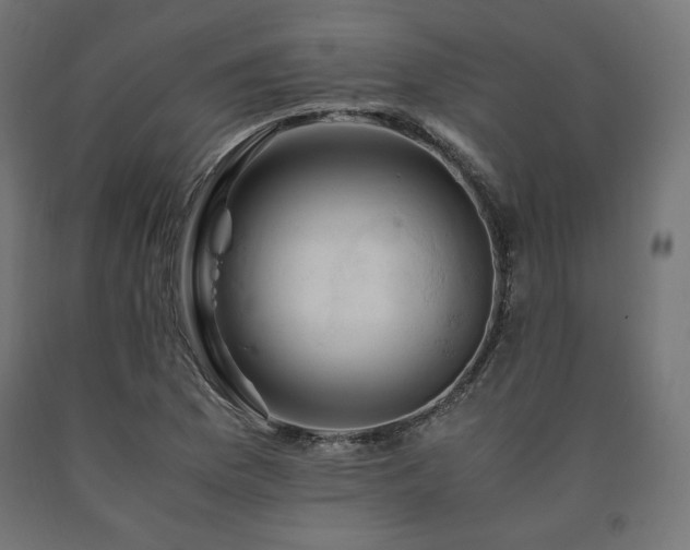 X0000091011169200708021542