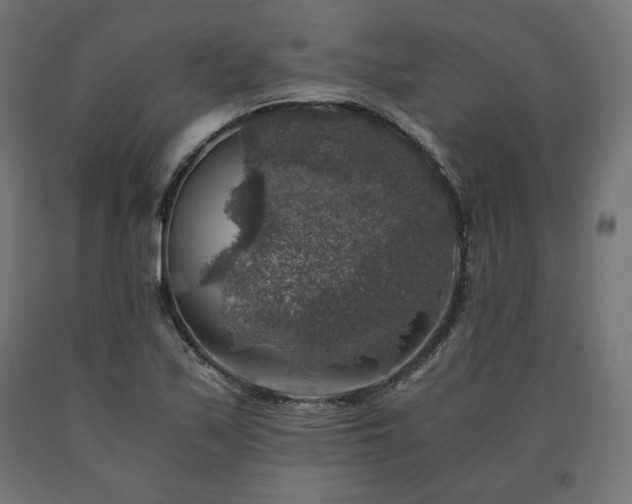 X0000091011171200708021542