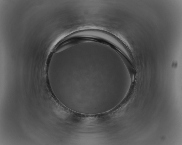 X0000091011173200708021542