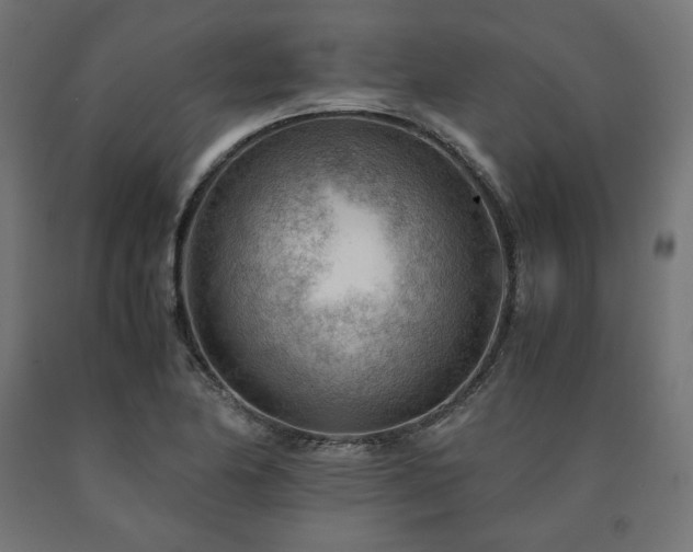 X0000091011174200708021542