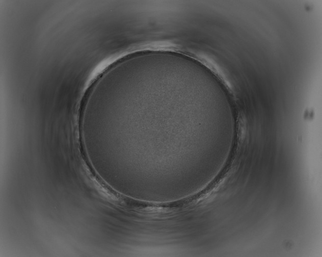 X0000091011176200708021542