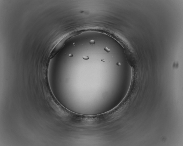X0000091011177200708021542