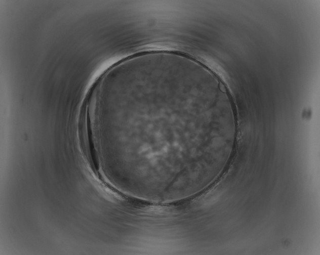 X0000091011179200708021542