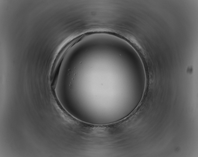 X0000091011181200708021542