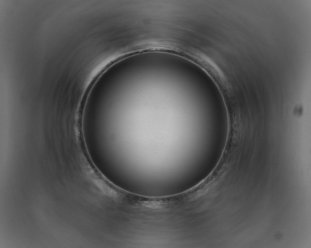 X0000091011182200708021542