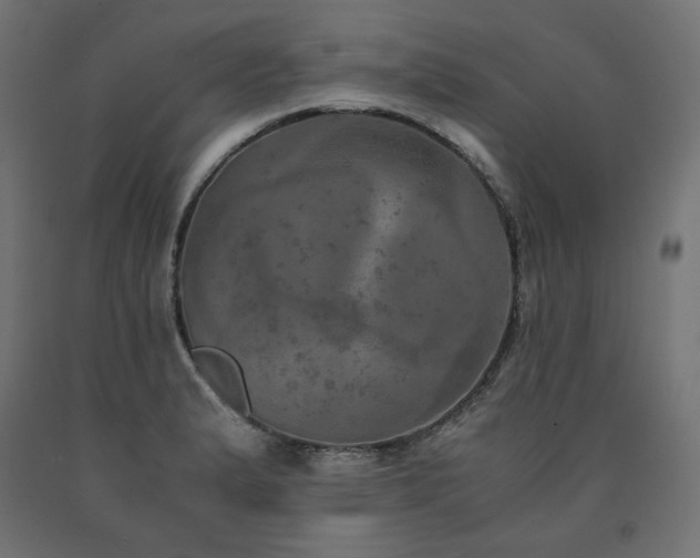 X0000091011183200708021542