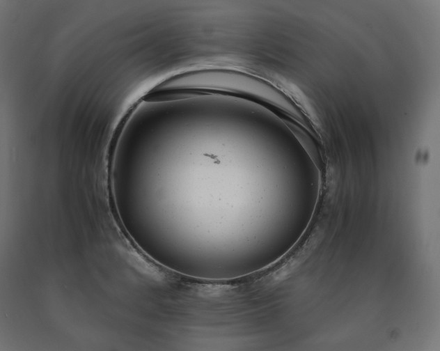 X0000091011184200708021542