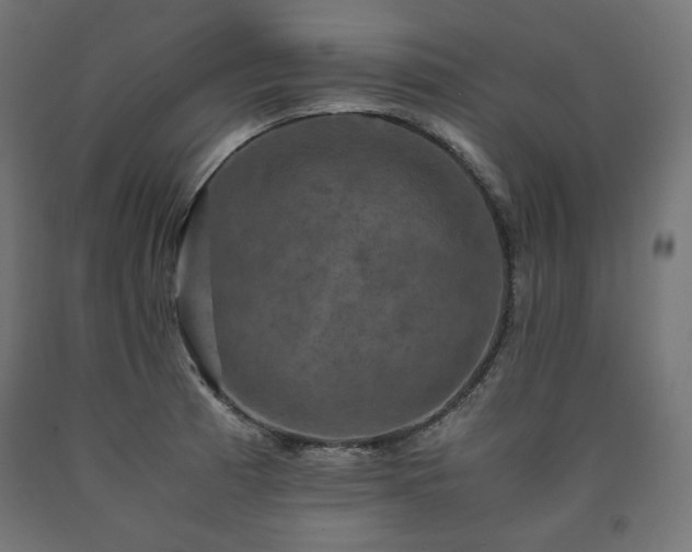 X0000091011185200708021542