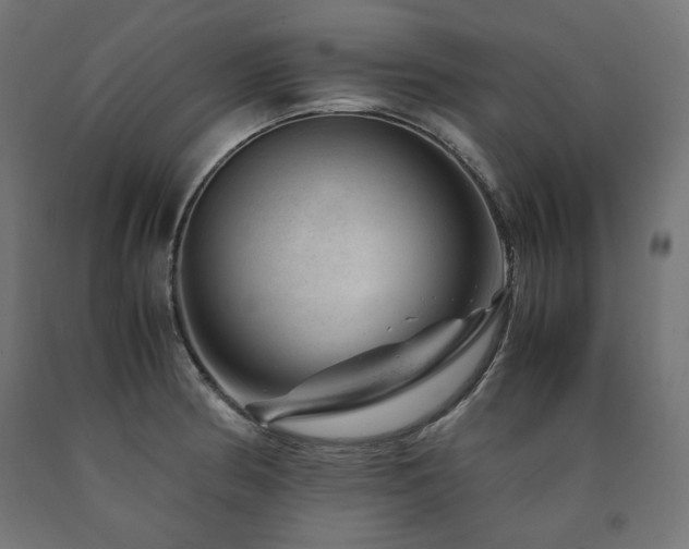 X0000091011186200708021542
