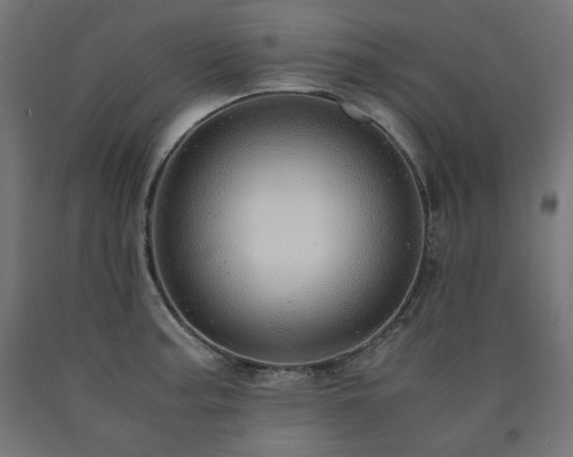 X0000091011187200708021542