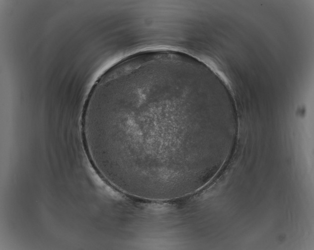 X0000091011189200708021542