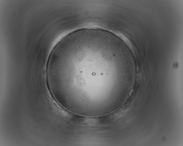 X0000091011191200708021542