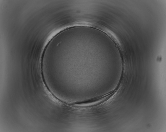 X0000091011192200708021542