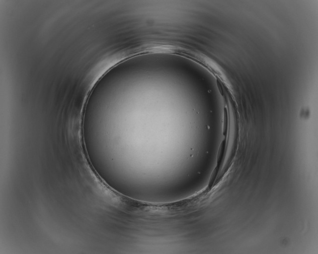 X0000091011194200708021542