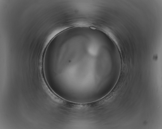 X0000091011195200708021542