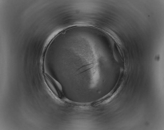 X0000091011196200708021542