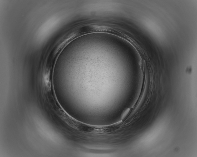 X0000091011198200708021542