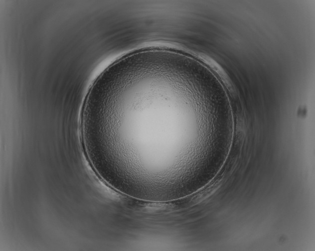 X0000091011199200708021542