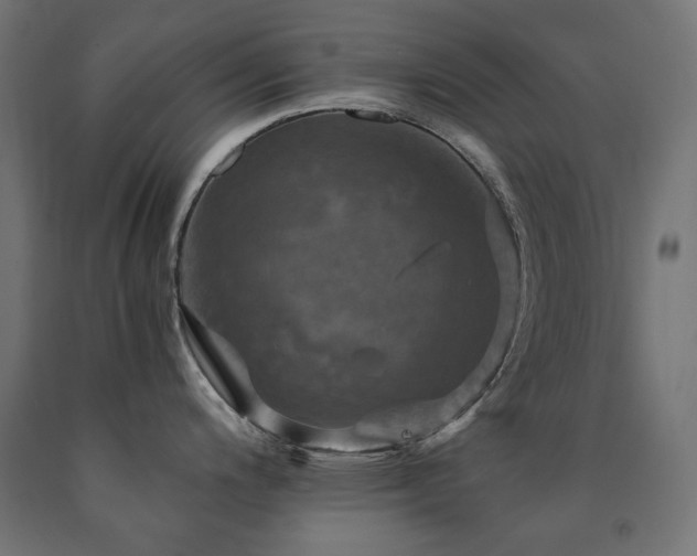 X0000091011200200708021542