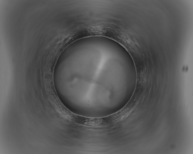 X0000091011201200708021541
