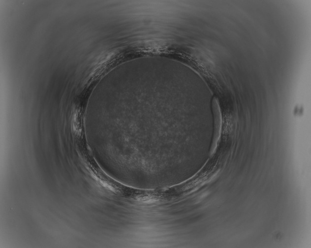 X0000091011202200708021541