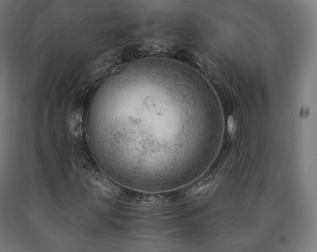 X0000091011203200708021541