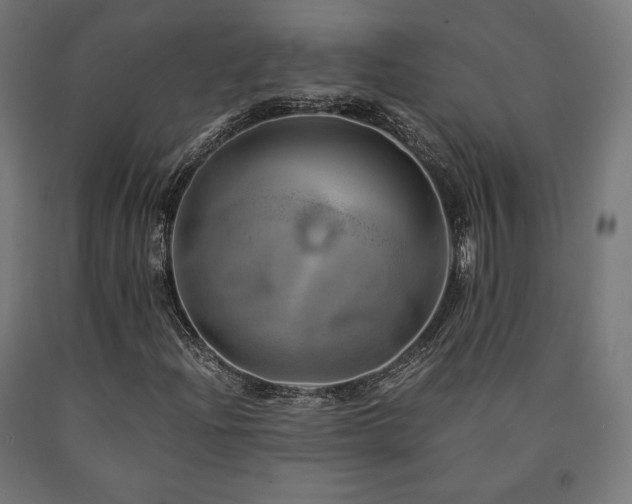 X0000091011204200708021541