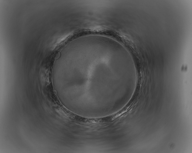 X0000091011205200708021541