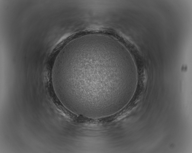 X0000091011206200708021541