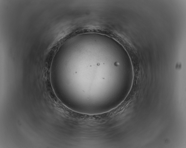 X0000091011207200708021541