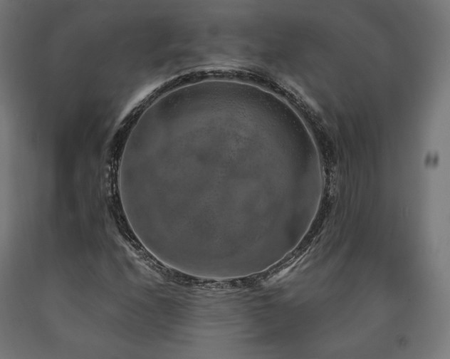 X0000091011208200708021541