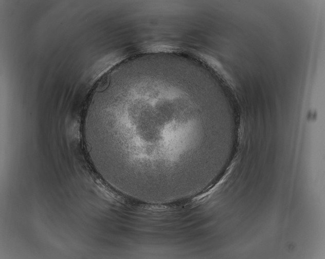 X0000091011209200708021541