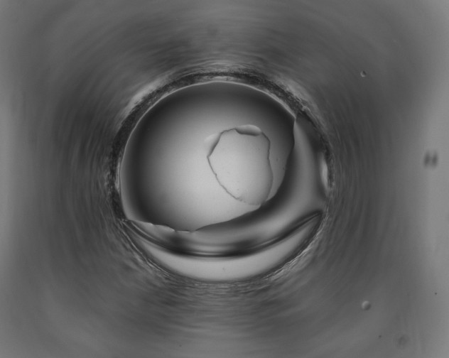 X0000091011210200708021541