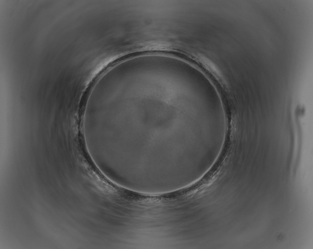 X0000091011212200708021541