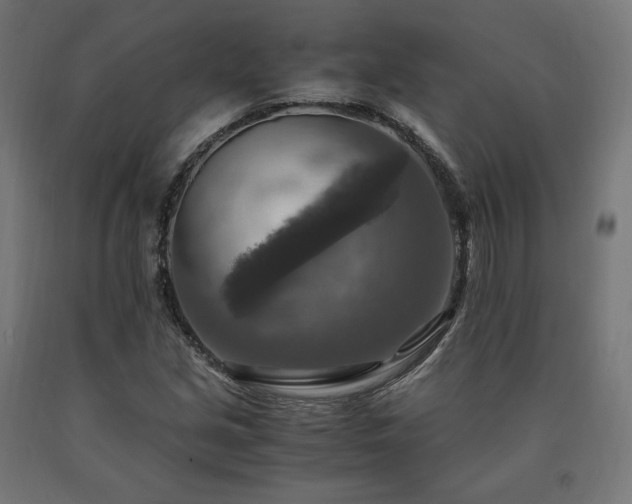 X0000091011213200708021541