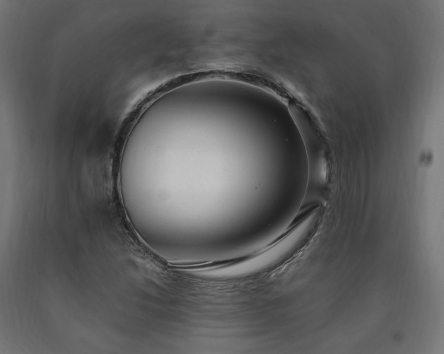 X0000091011214200708021541