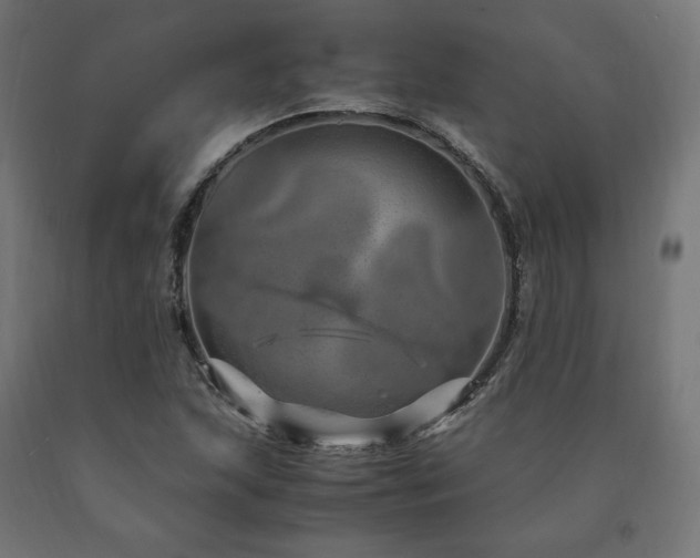 X0000091011215200708021541