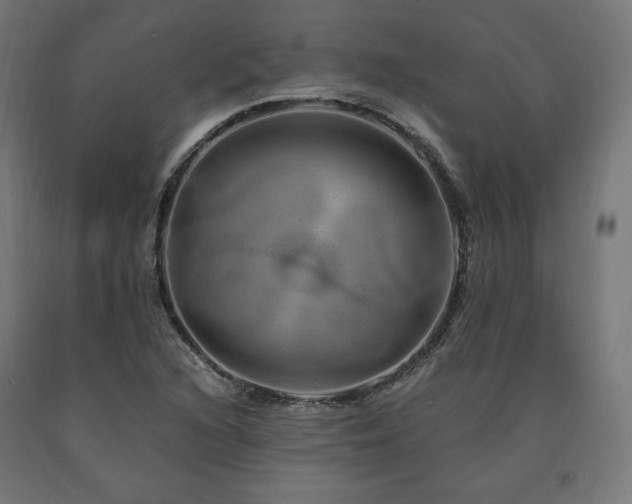X0000091011216200708021541