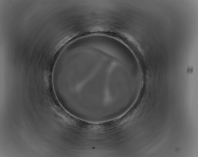 X0000091011217200708021541