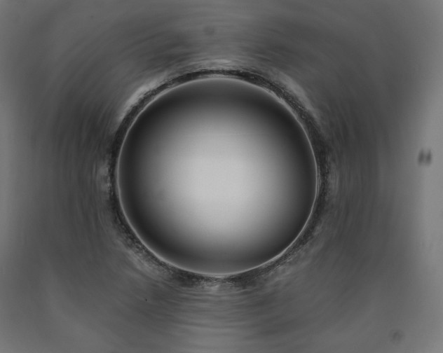 X0000091011218200708021541