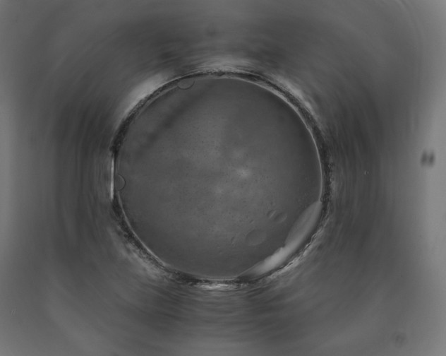 X0000091011219200708021541