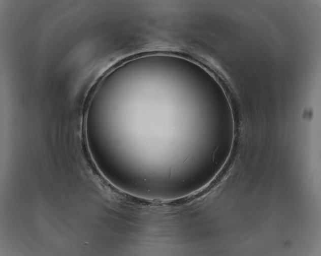 X0000091011220200708021541