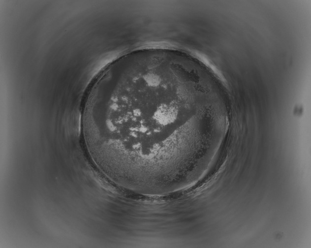 X0000091011221200708021541
