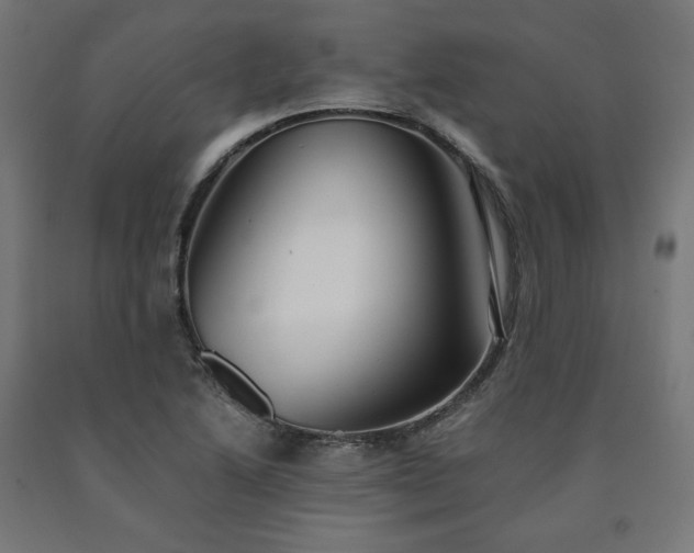 X0000091011222200708021541